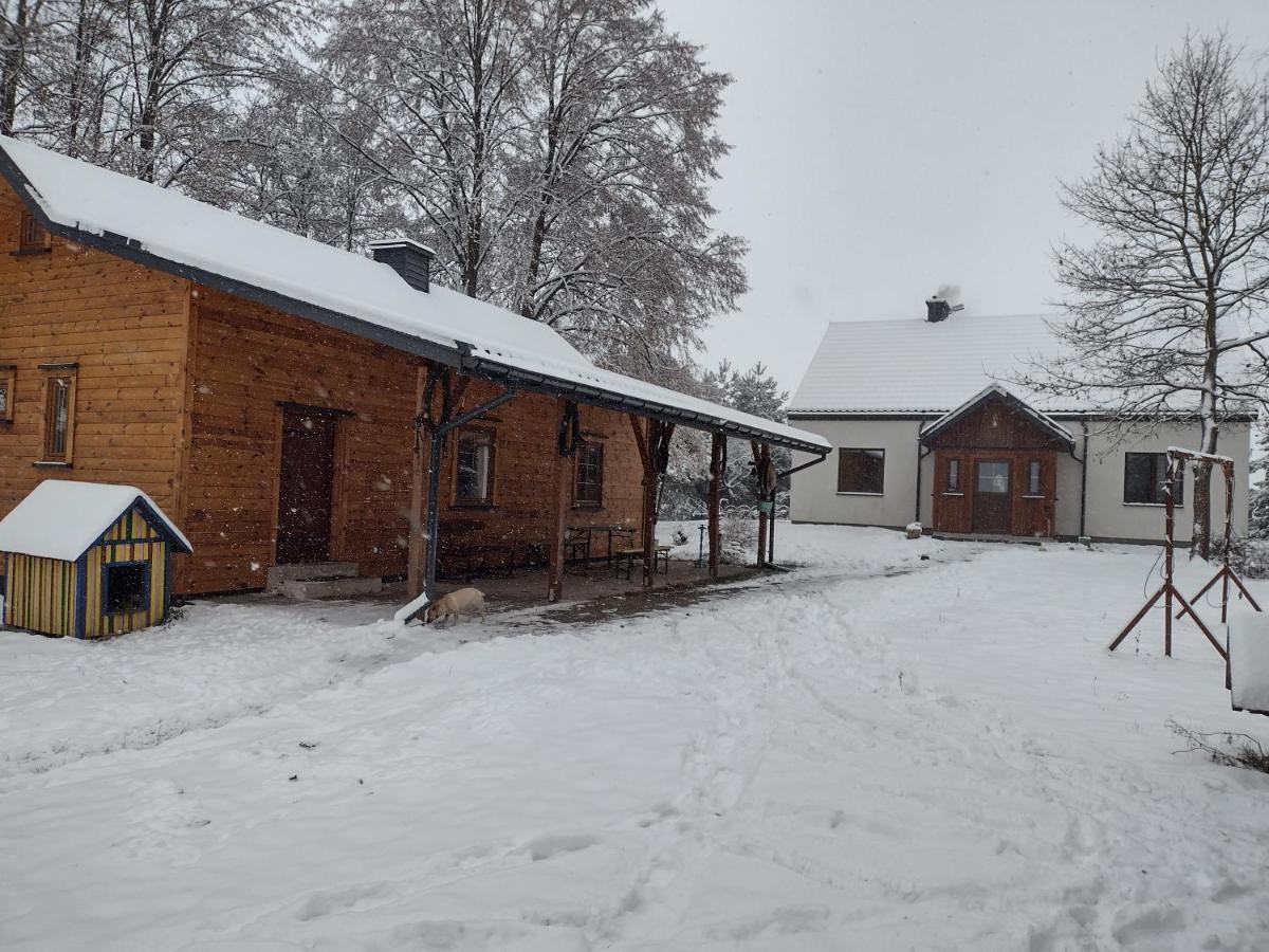 Kolorowe Wzgorze Agroturystyka I Konie Trojanow Екстериор снимка