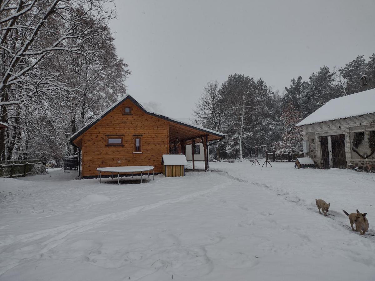Kolorowe Wzgorze Agroturystyka I Konie Trojanow Екстериор снимка