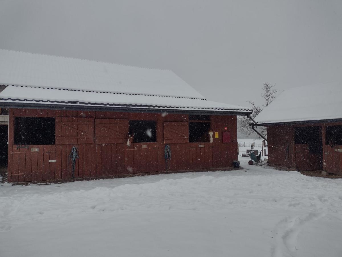 Kolorowe Wzgorze Agroturystyka I Konie Trojanow Екстериор снимка