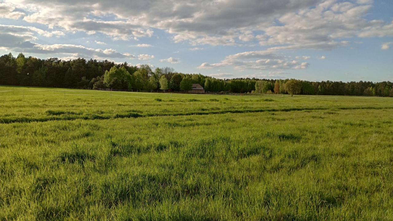 Kolorowe Wzgorze Agroturystyka I Konie Trojanow Екстериор снимка
