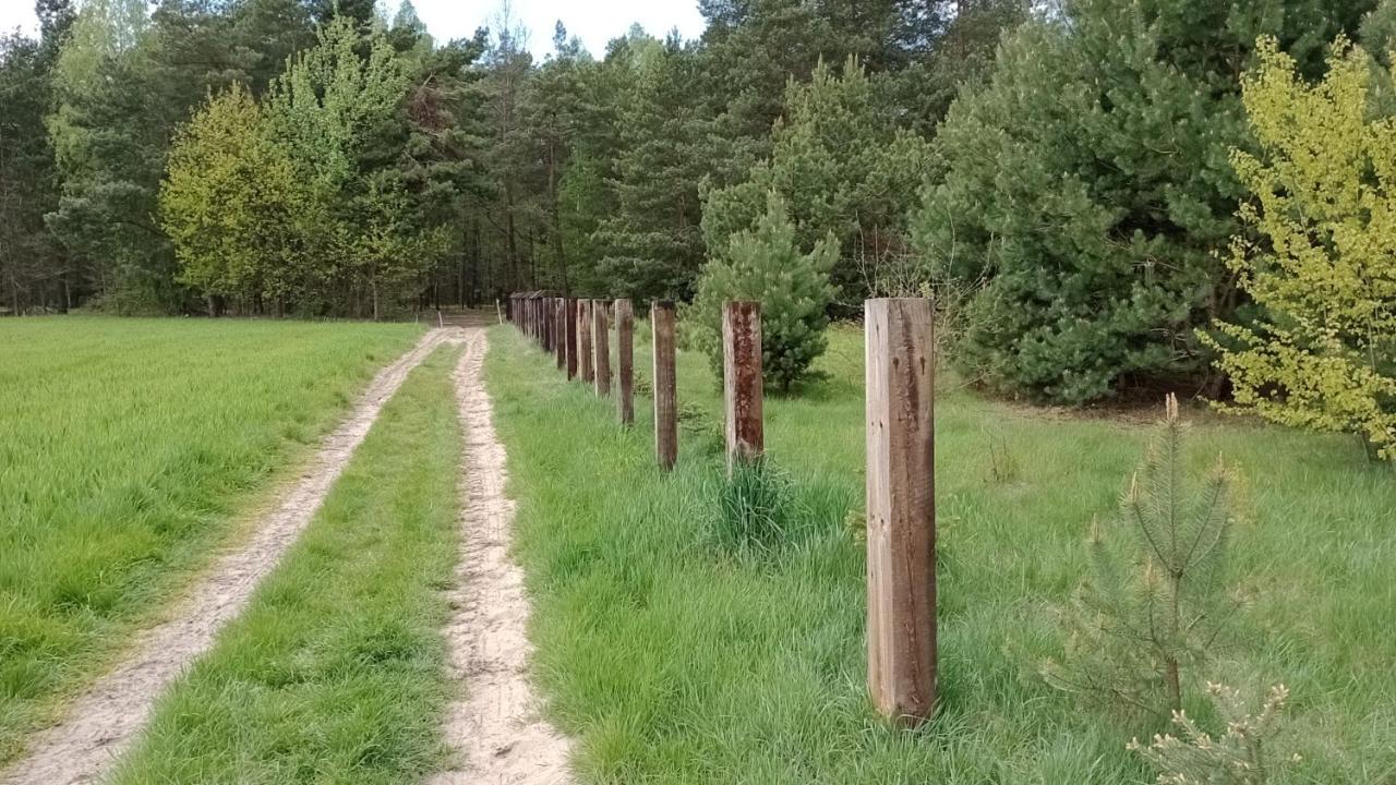 Kolorowe Wzgorze Agroturystyka I Konie Trojanow Екстериор снимка